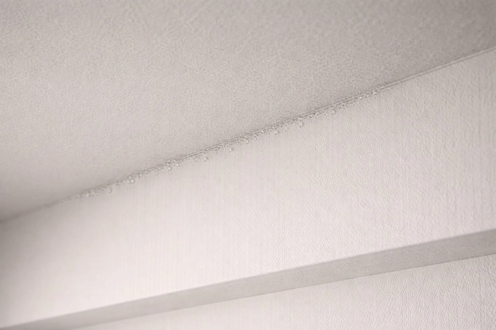 冬から春に入居される方へ|賃貸マンションの結露とカビで後悔しないために