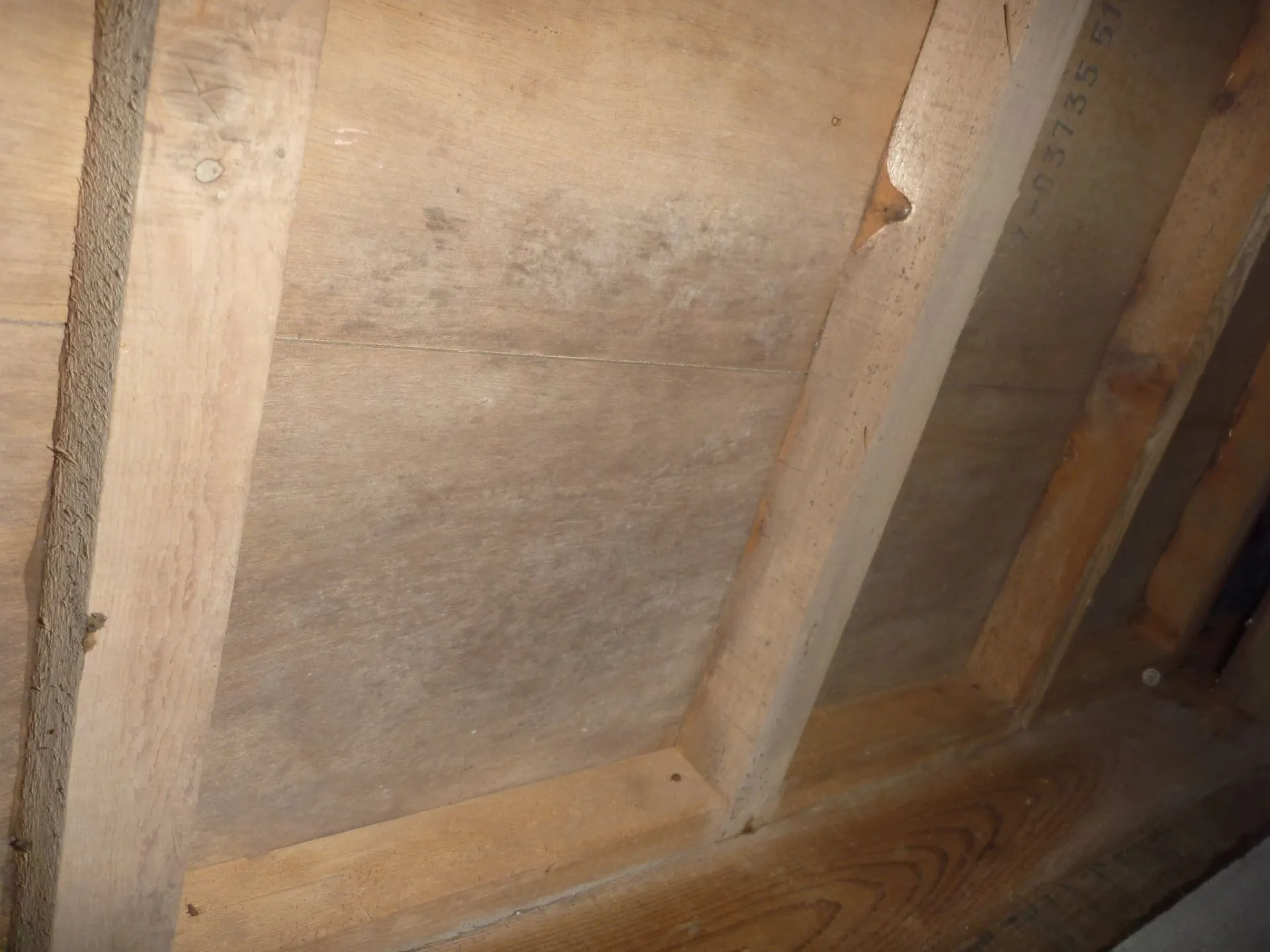 床下のカビは部分対応も可能です|上尾市・桶川市・さいたま市